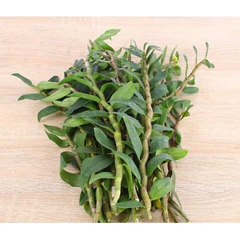 讲解清晰铁皮石斛进口报关流程