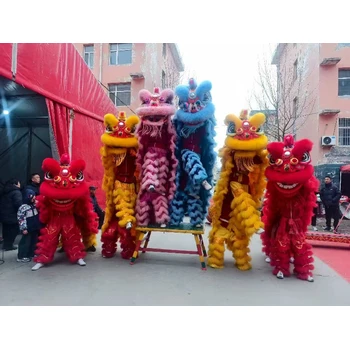 内蒙古玉泉区梅花桩舞狮舞龙