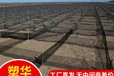 低立式沙障hdpe防风阻沙网防风阻沙网