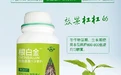 根白金效果好,诱导生根，主根扎得深
