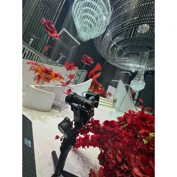 河北裕华区拍摄摄影摄像