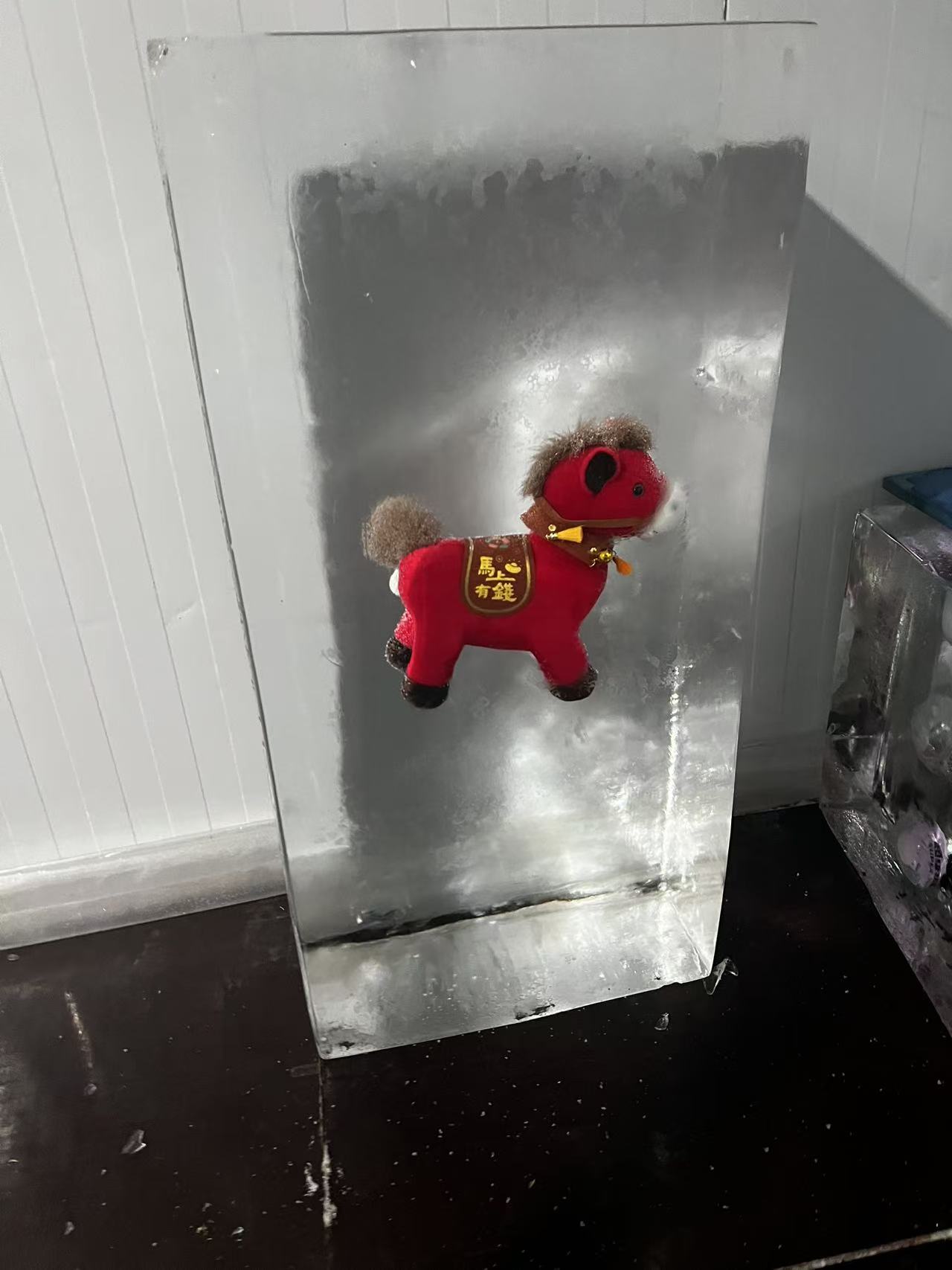 新鄉(xiāng)冰凍公司logo