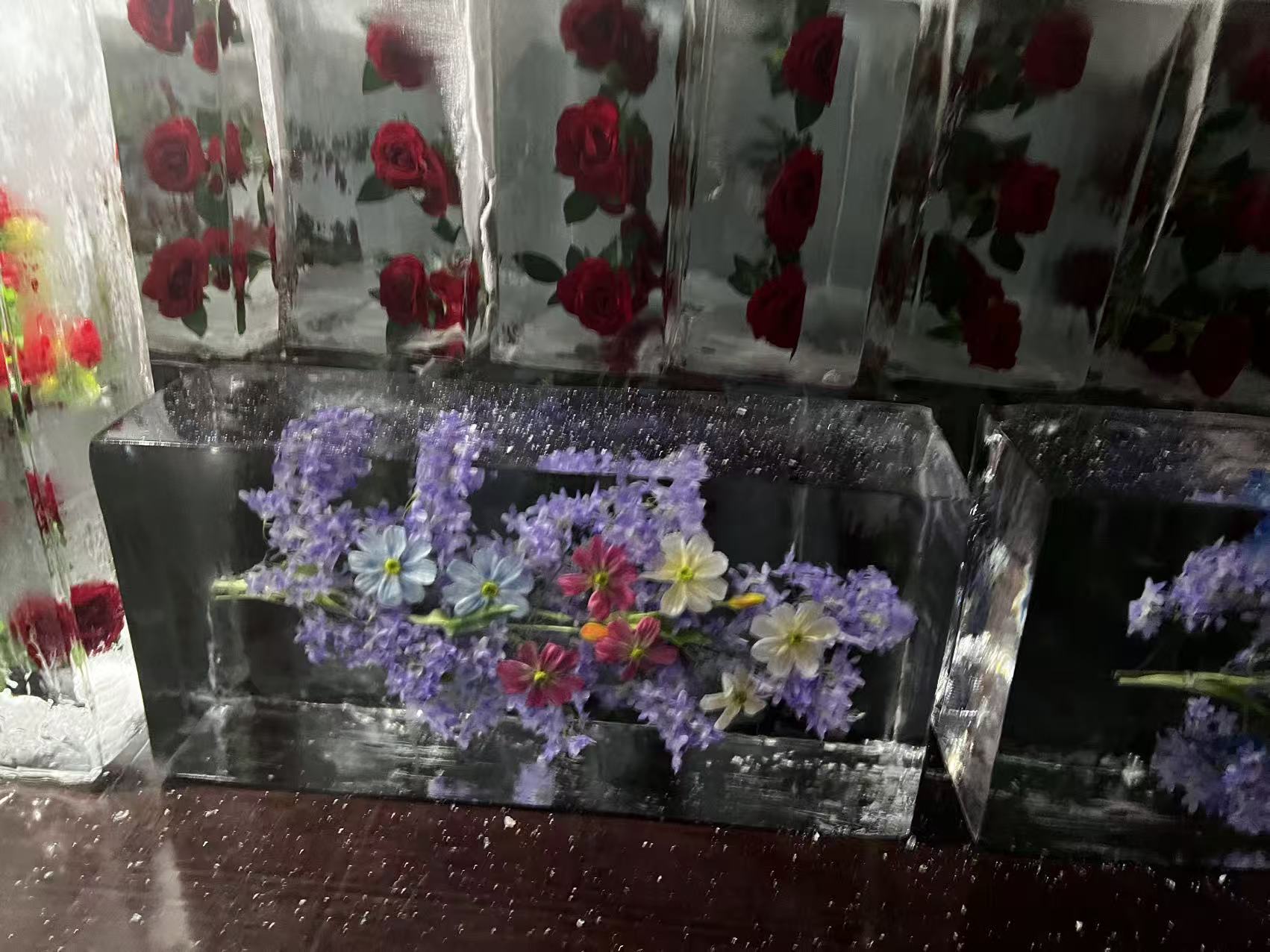 新鄉(xiāng)冰凍公司logo