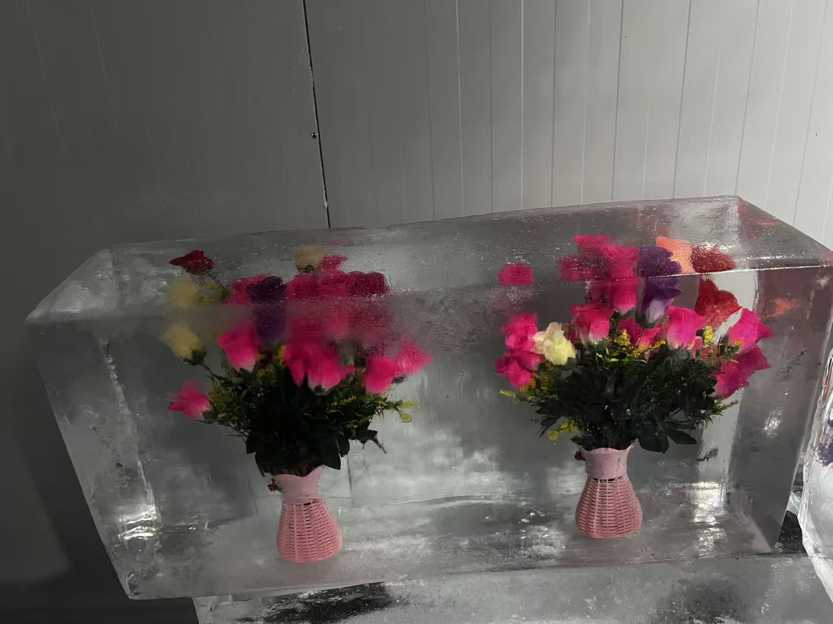 南昌冰凍公司logo