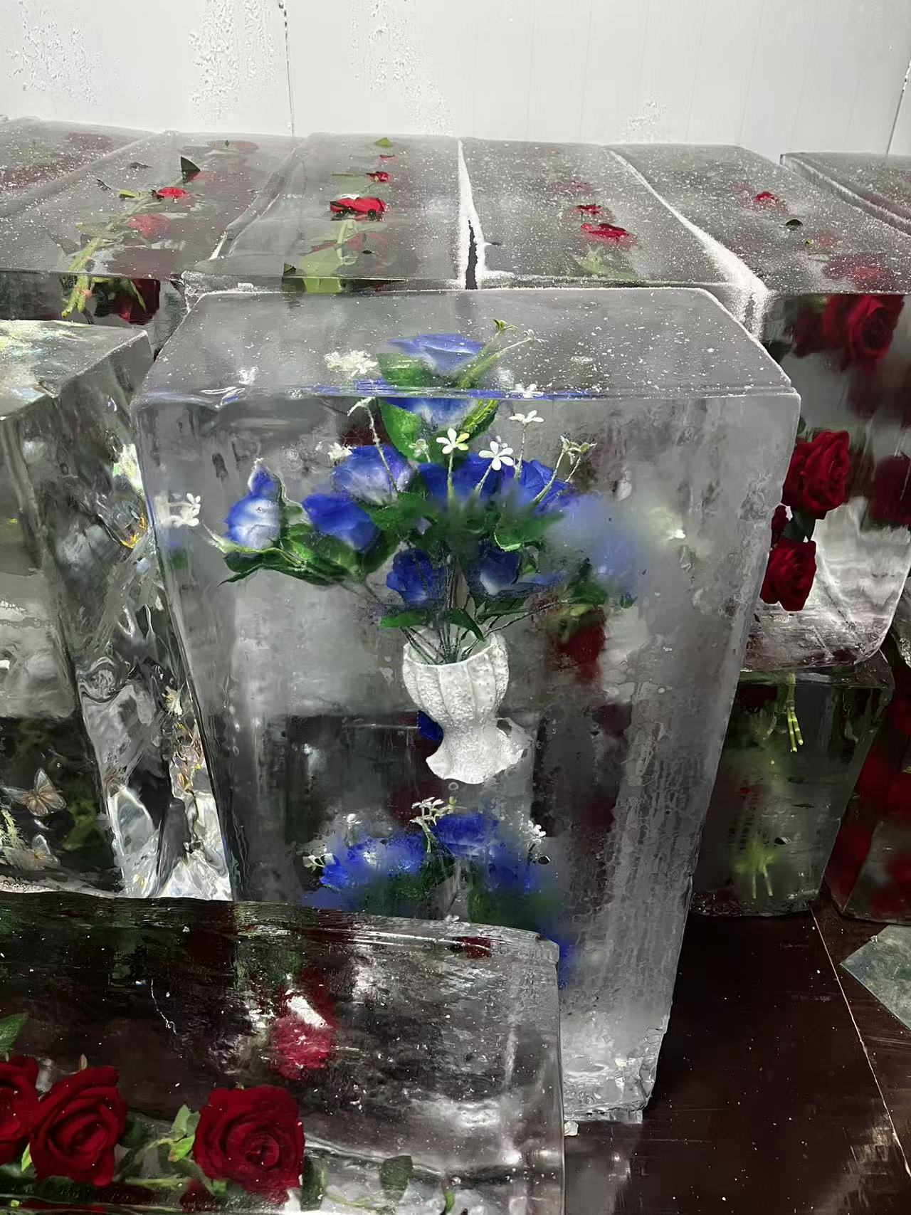 新鄉(xiāng)冰凍公司logo