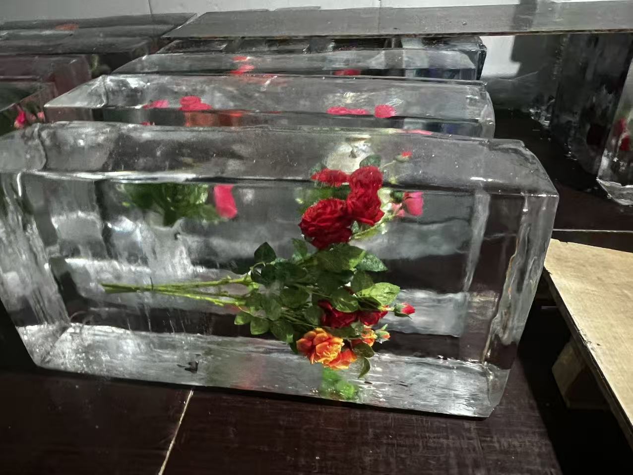 新鄉(xiāng)冰凍公司logo