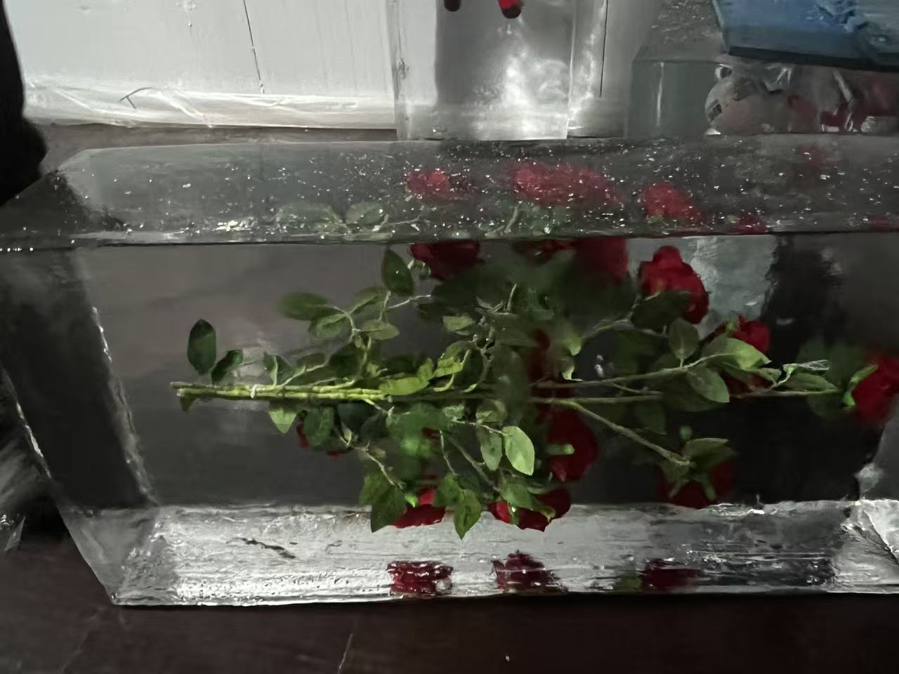 南昌冰凍公司logo