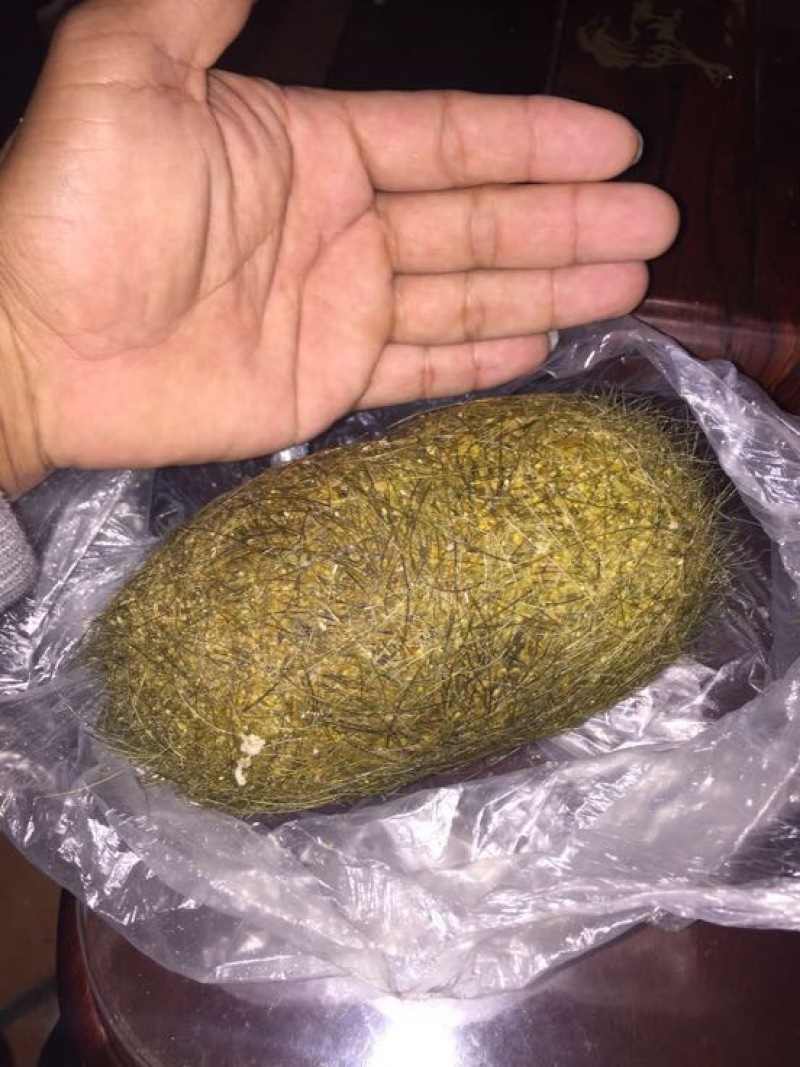 昆明上門鑒定收購青銅器—古錢幣當(dāng)天變現(xiàn)