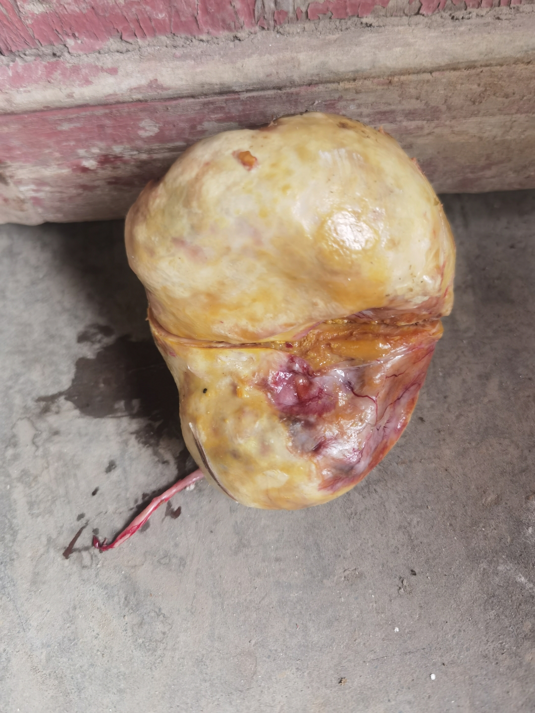 阿拉善盟上門免費(fèi)鑒定收購(gòu)明代玉佛像現(xiàn)金收購(gòu)電話