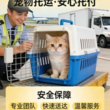 Hangzhou Chongxing Daojia Pet Transportation Co., Ltd. product image 8
