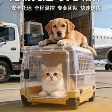 Hangzhou Chongxing Daojia Pet Transportation Co., Ltd. product image 9