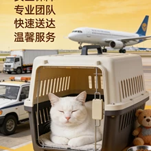 Hangzhou Chongxing Daojia Pet Transportation Co., Ltd. product image 11