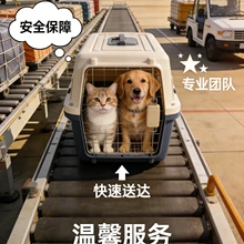 Hangzhou Chongxing Daojia Pet Transportation Co., Ltd. product image 10