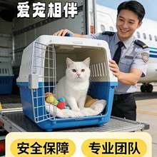 Hangzhou Chongxing Daojia Pet Transportation Co., Ltd. product image 6