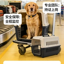 Hangzhou Chongxing Daojia Pet Transportation Co., Ltd. product image 4