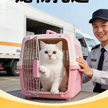Hangzhou Chongxing Daojia Pet Transportation Co., Ltd. product image 5