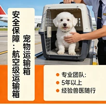 Hangzhou Chongxing Daojia Pet Transportation Co., Ltd. product image 9