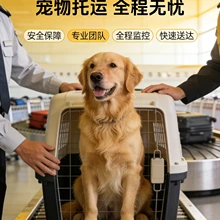 Hangzhou Chongxing Daojia Pet Transportation Co., Ltd. product image 7