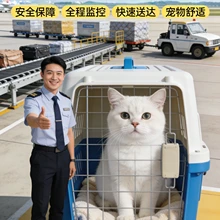 Hangzhou Chongxing Daojia Pet Transportation Co., Ltd. product image 6