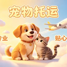 Hangzhou Chongxing Daojia Pet Transportation Co., Ltd. product image 3