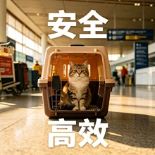 Hangzhou Chongxing Daojia Pet Transportation Co., Ltd. product image 2