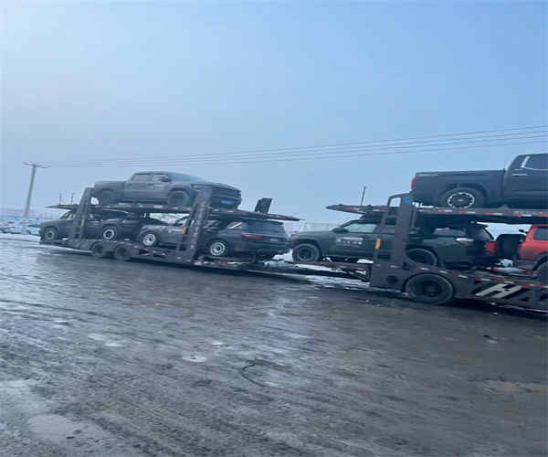 從山南地區(qū)隆子縣到北海托運(yùn)轎車