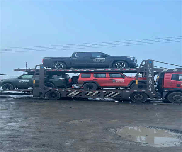 從山南地區(qū)隆子縣到北海托運(yùn)轎車