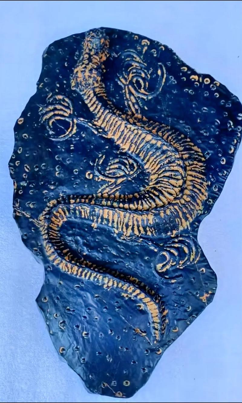 荣昌瓷器常年上门鉴定收购—古钱币当天变现电话