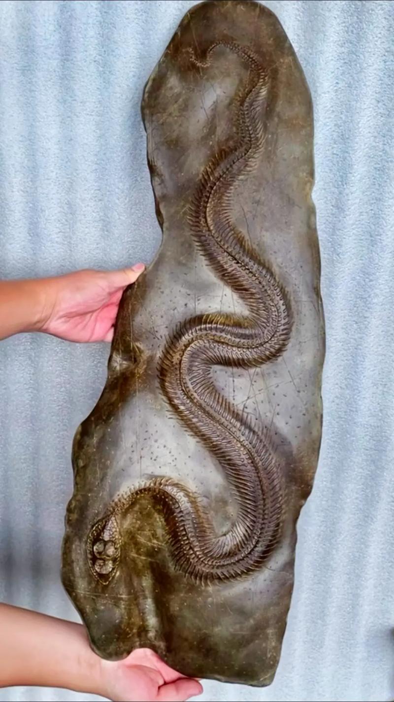 青浦各类古钱币常年上门鉴定收购—古钱币当天变现电话