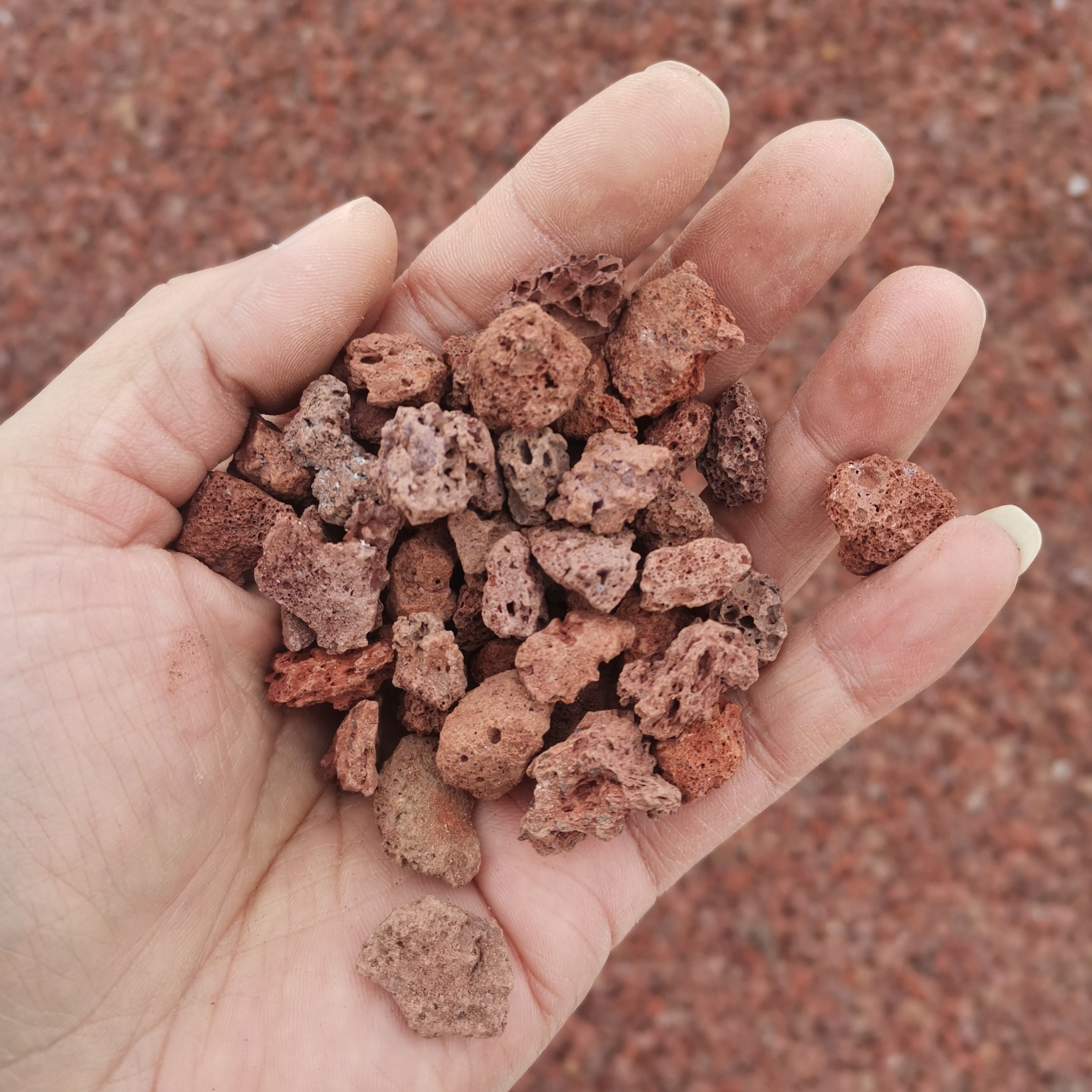 新鄉(xiāng)紅黑雜色火山巖濾料電廠中水處理粘土陶粒白沸石