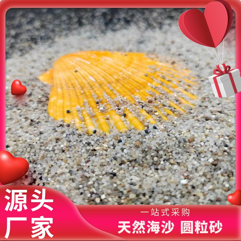 通化天然海砂（海沙、白沙）濾料批發(fā)