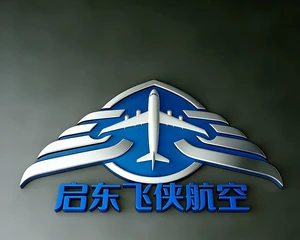启东市飞侠航空科技有限公司