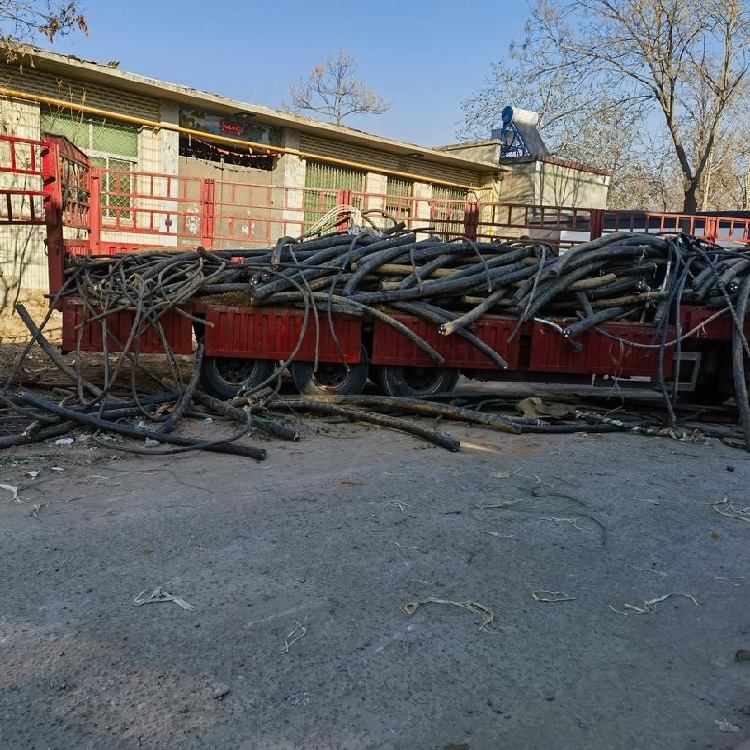 揭陽榕城區(qū)高壓電纜回收價格，團隊